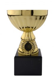 Cupe Sportive CE 24